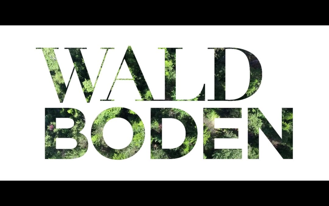 Die Reise des Waldbodens
